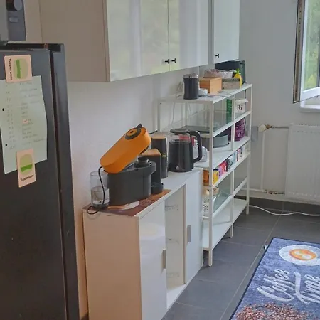 Oase * Coswig (Saxony)